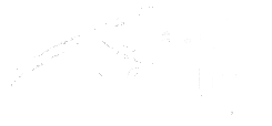 White cross with text Reach Scotland